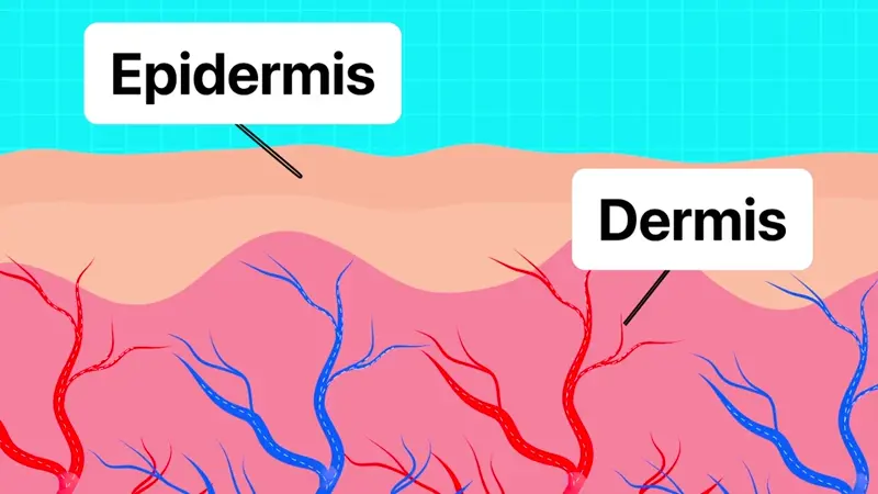 gempages_529564625927144577-45edcb97-669e-4fcb-a6dd-627a474d0119